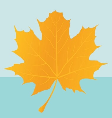 What is the national leaf of Canada
