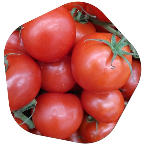 Which country grows the most tomatoes in the world