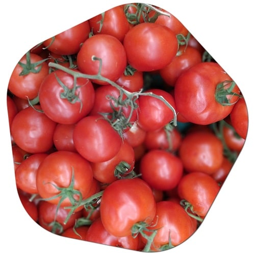 Which country has best tomatoes
