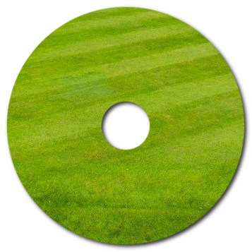 How to maintain a lawn in New Jersey?
