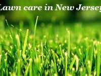 Lawn care in New Jersey