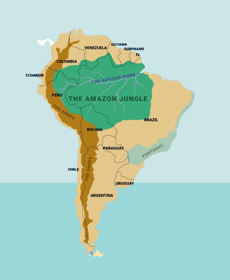 Where is the Amazon Jungle? What is the Amazon forest?