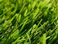 How often is grass cut in Atlanta